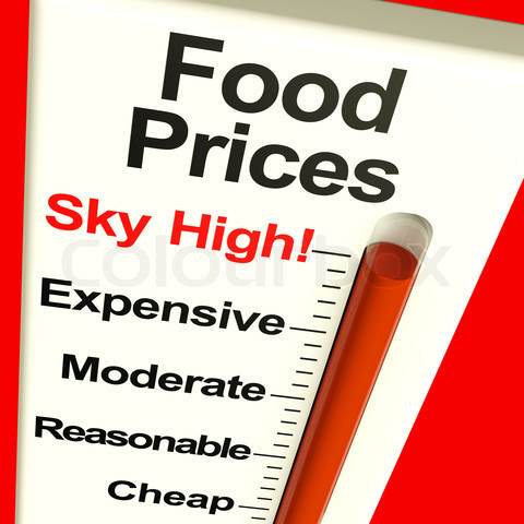 https://momfog.files.wordpress.com/2012/05/3288053-900127-food-prices-high-monitor-showing-expensive-grocery-costs.jpg